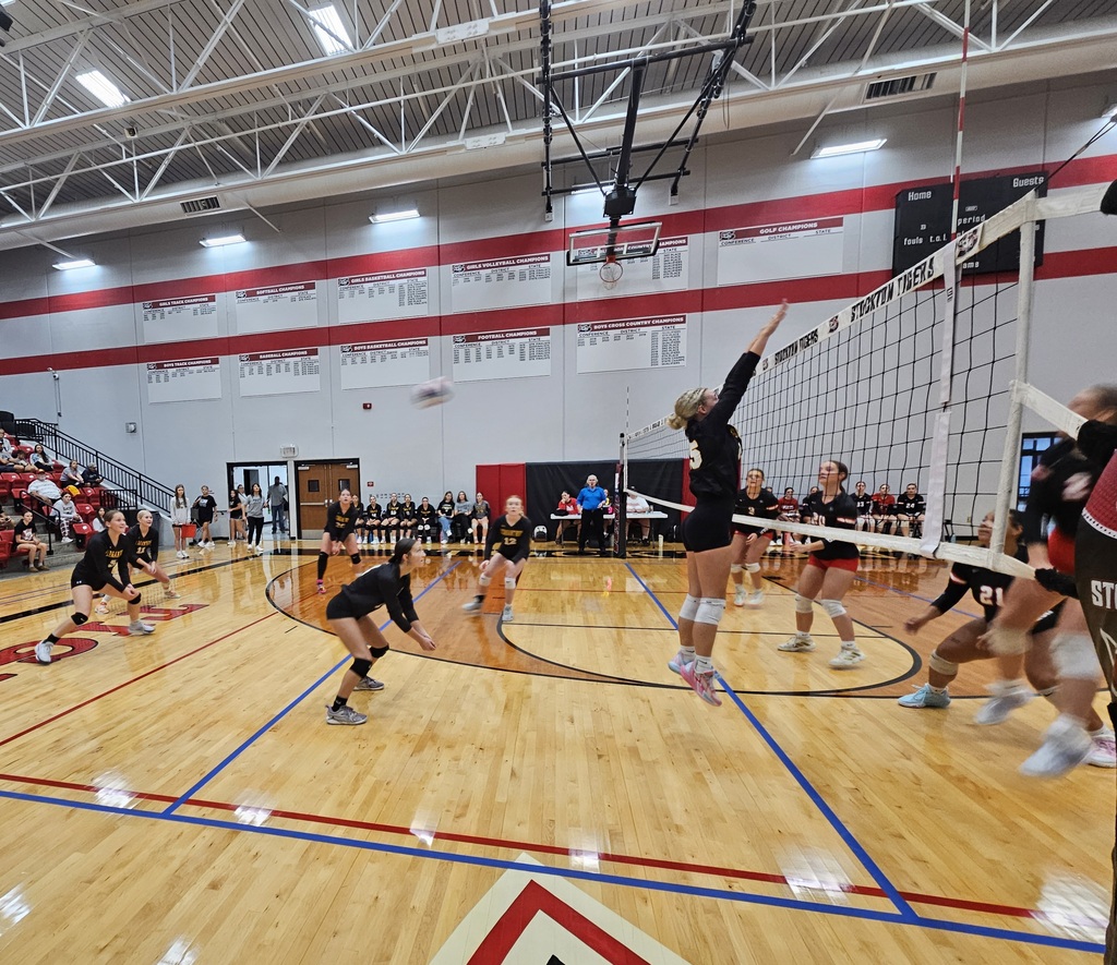 Stockton Volleyball Tournament pic 3
