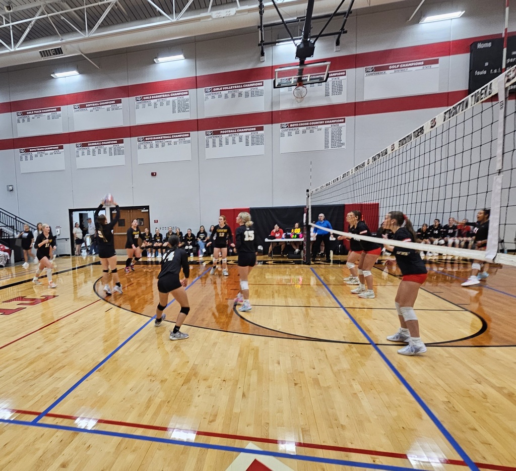 Stockton Volleyball Tournament pic 4