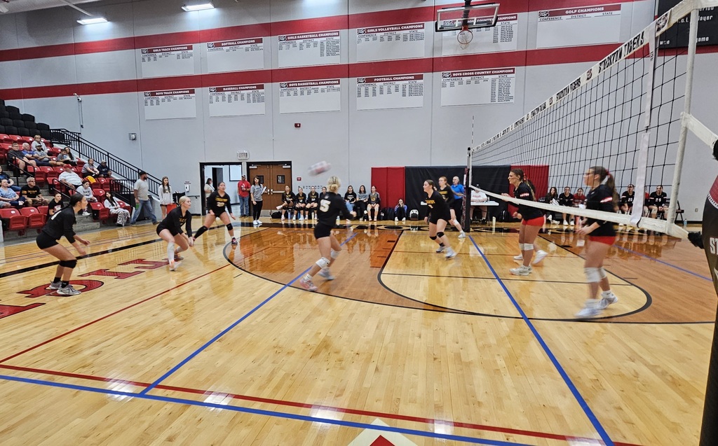 Stockton Volleyball Tournament pic 5