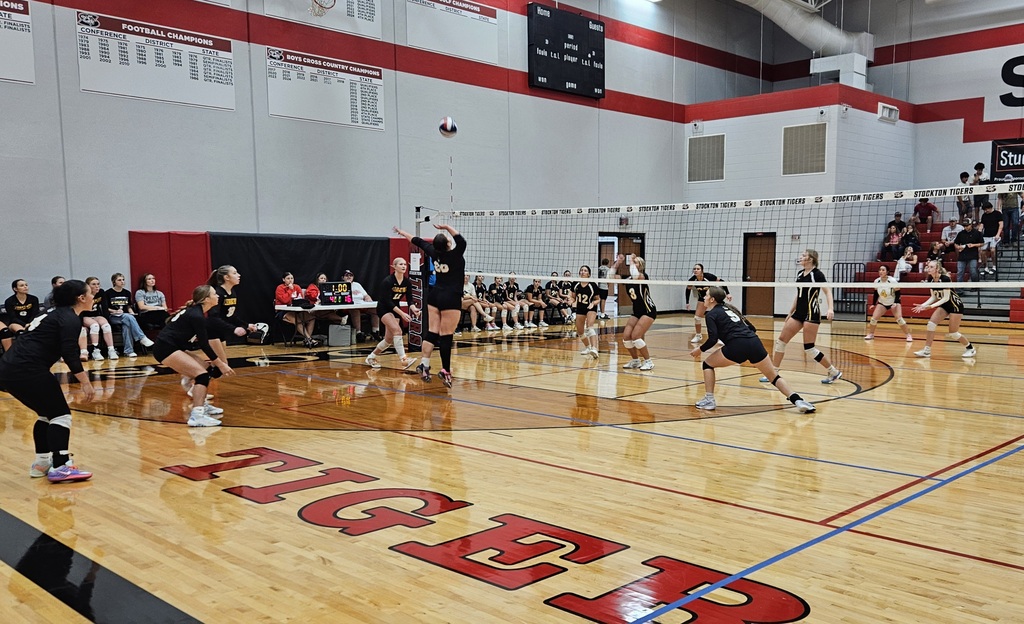 Stockton Volleyball Tournament pic 6