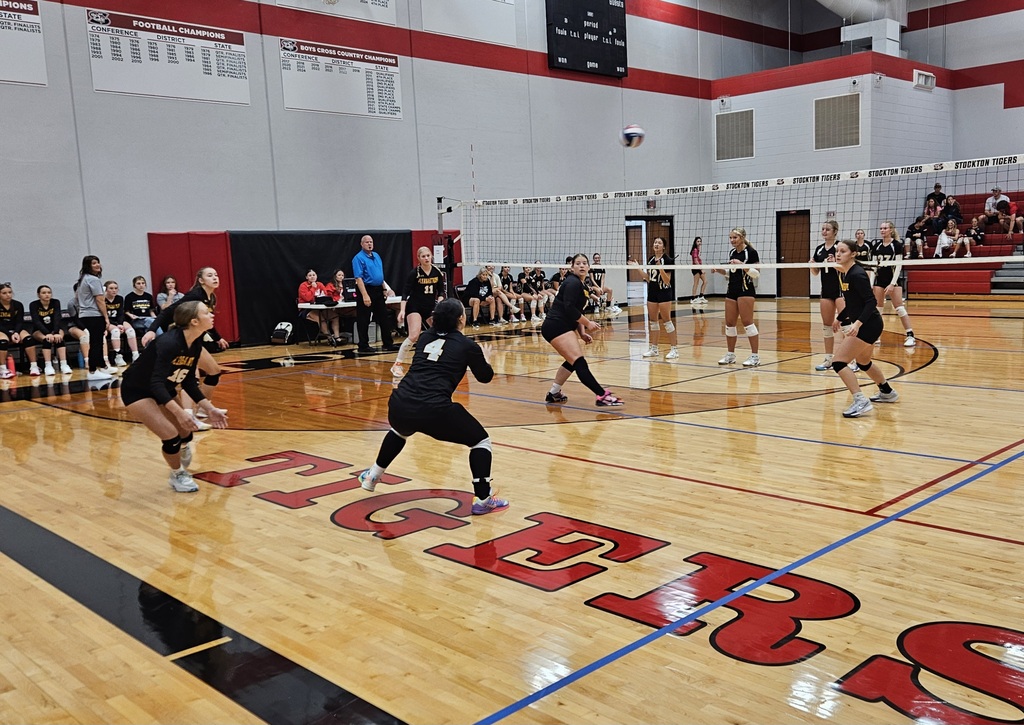 Stockton Volleyball Tournament pic 7