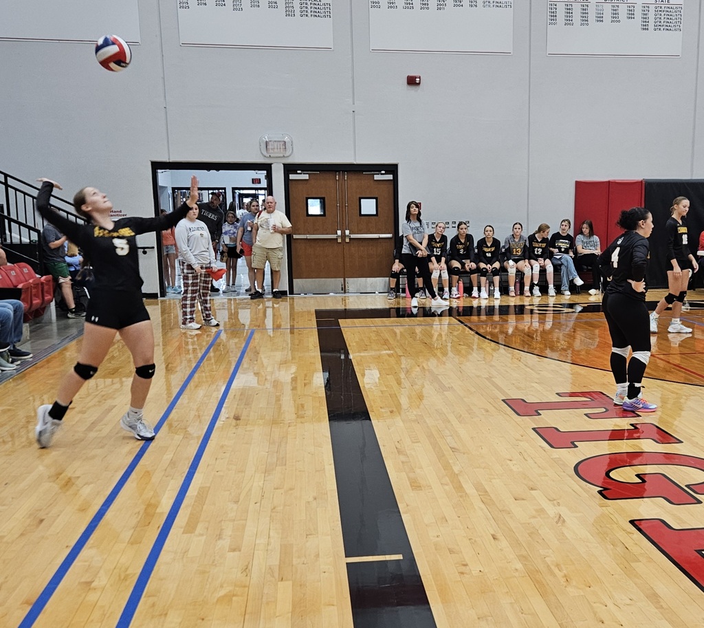 Stockton Volleyball Tournament pic 8