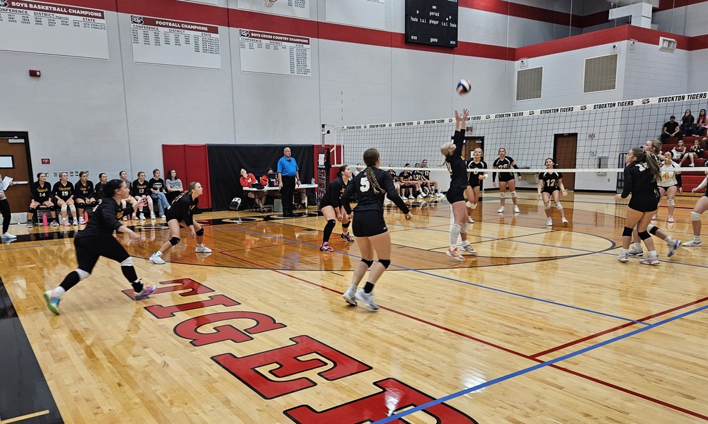 Stockton Volleyball Tournament pic 9