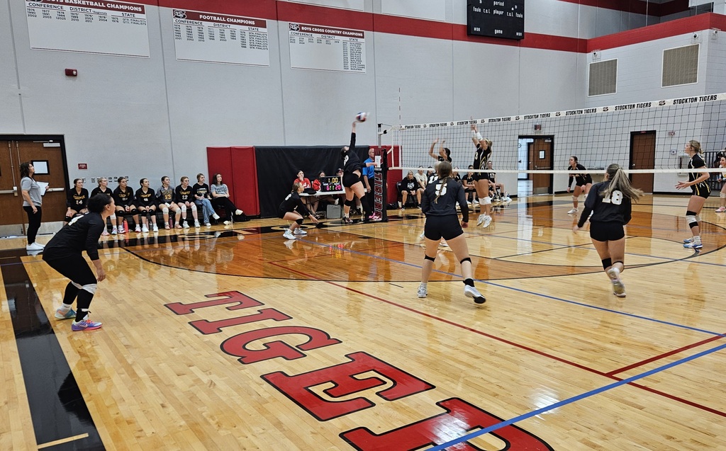 Stockton Volleyball Tournament pic 10