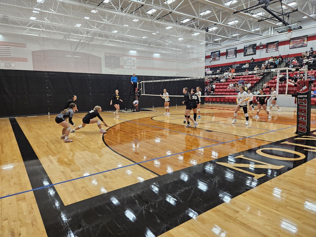 Stockton Volleyball Tournament pic 11