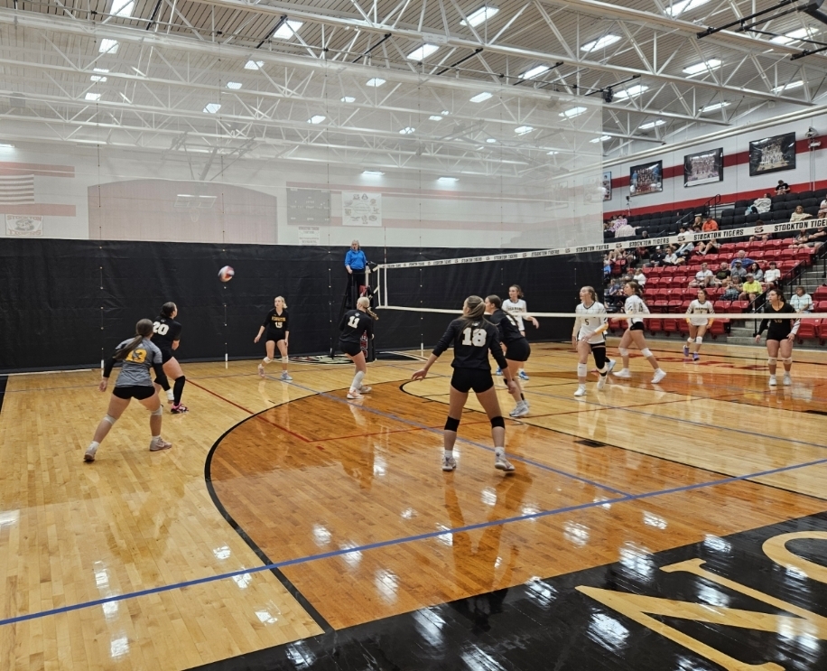 Stockton Volleyball Tournament pic 13