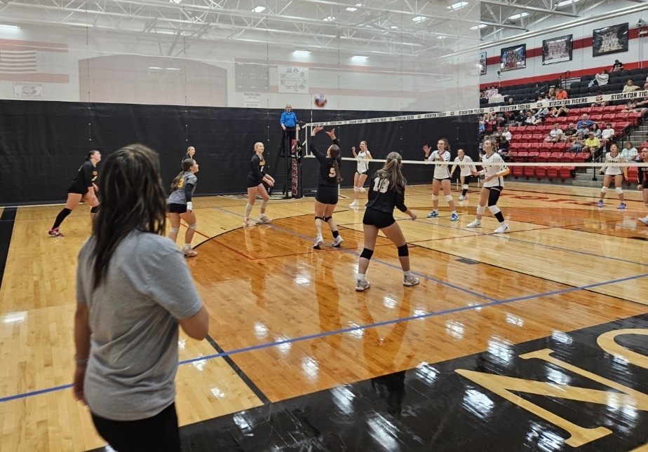 Stockton Volleyball Tournament pic 14