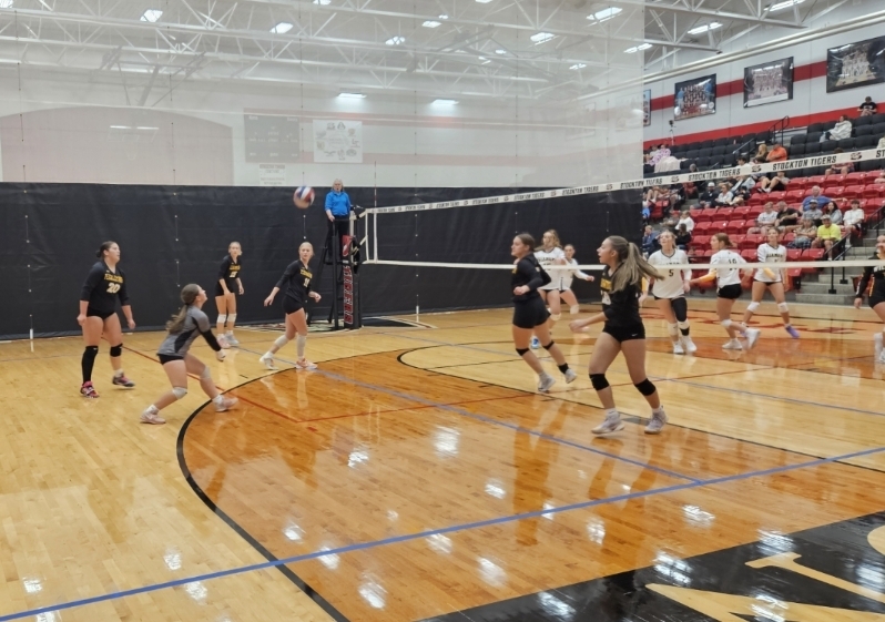 Stockton Volleyball Tournament pic 15