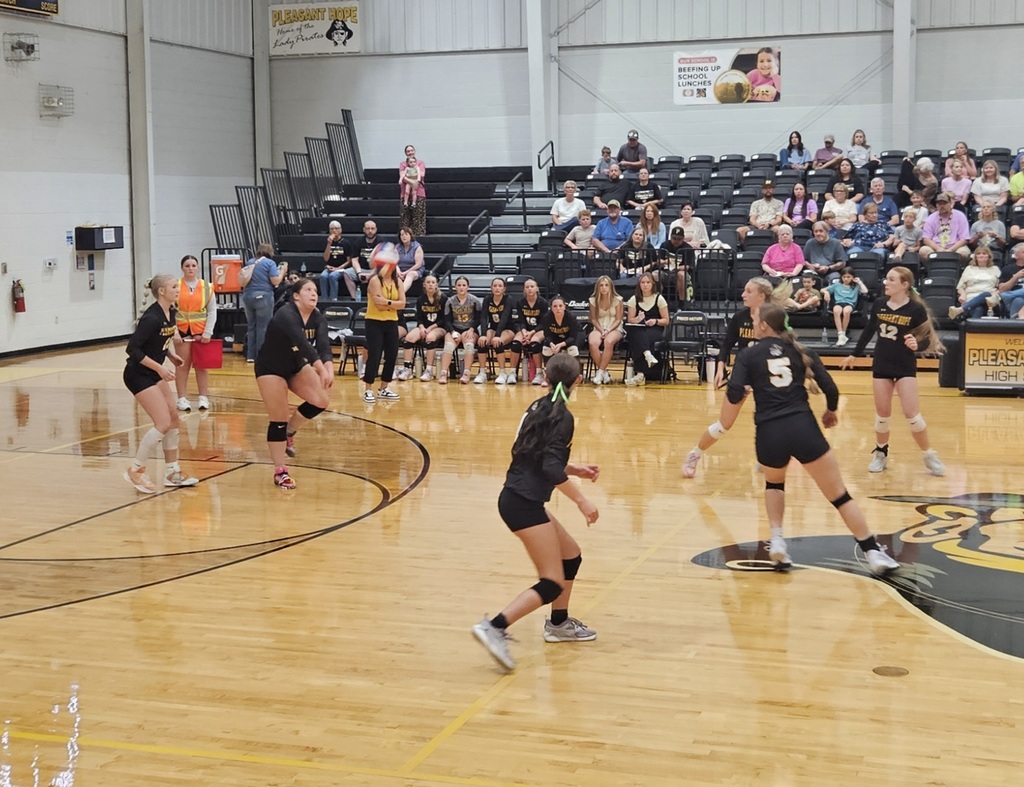 Volleyball players receive a serve
