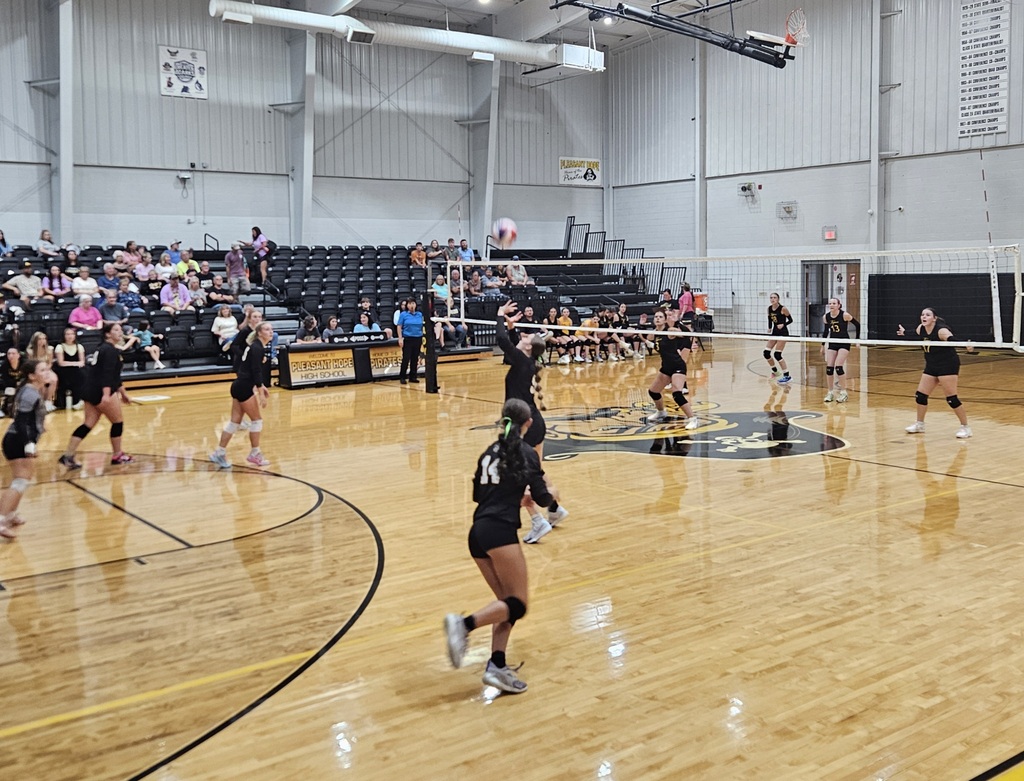 volleyball players