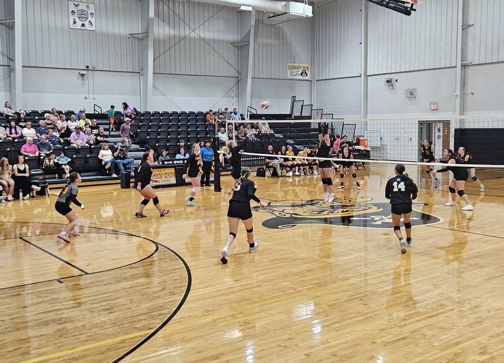 volleyball player spiking the ball