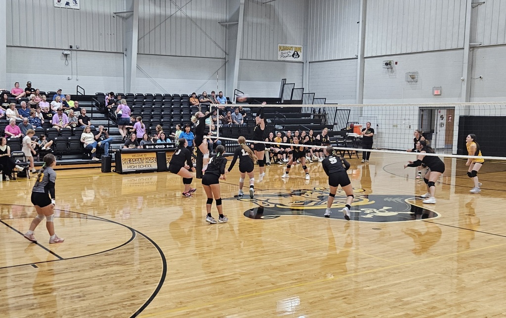volleyball players on the court