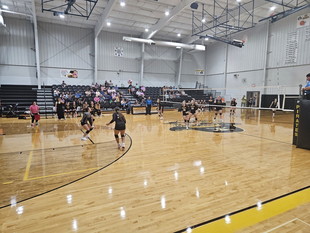 JV Volleyball girls pic 2