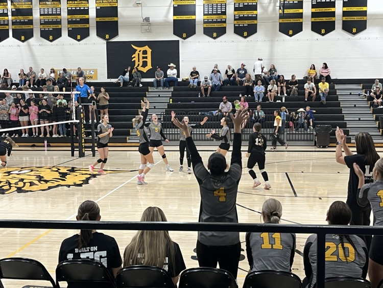 Varsity vs Diamond