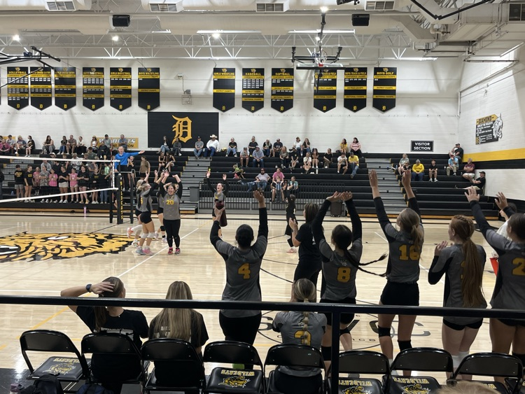 Varsity vs Diamond