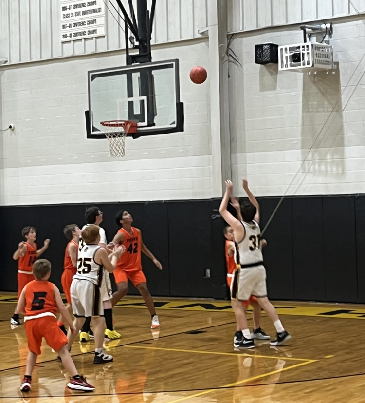tigers at phope ms bbball 3