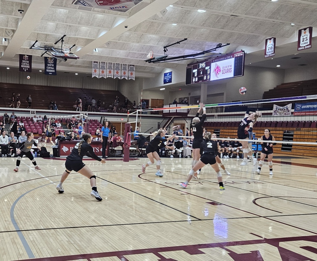 volleyball pic 2