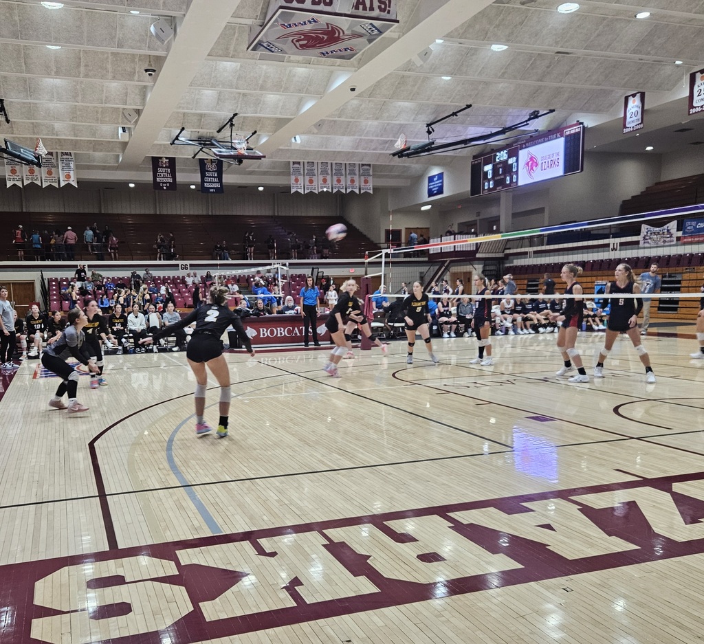 volleyball pic 3