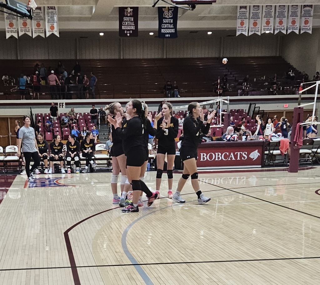 volleyball pic 6
