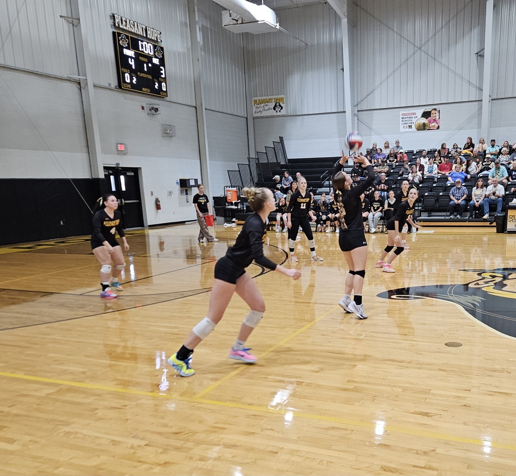 Varsity Volleyball pic 1
