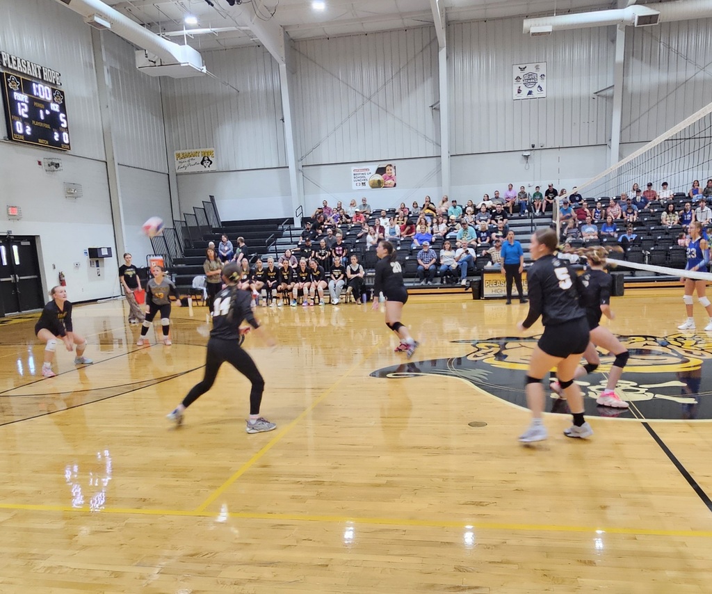 Varsity Volleyball pic 5