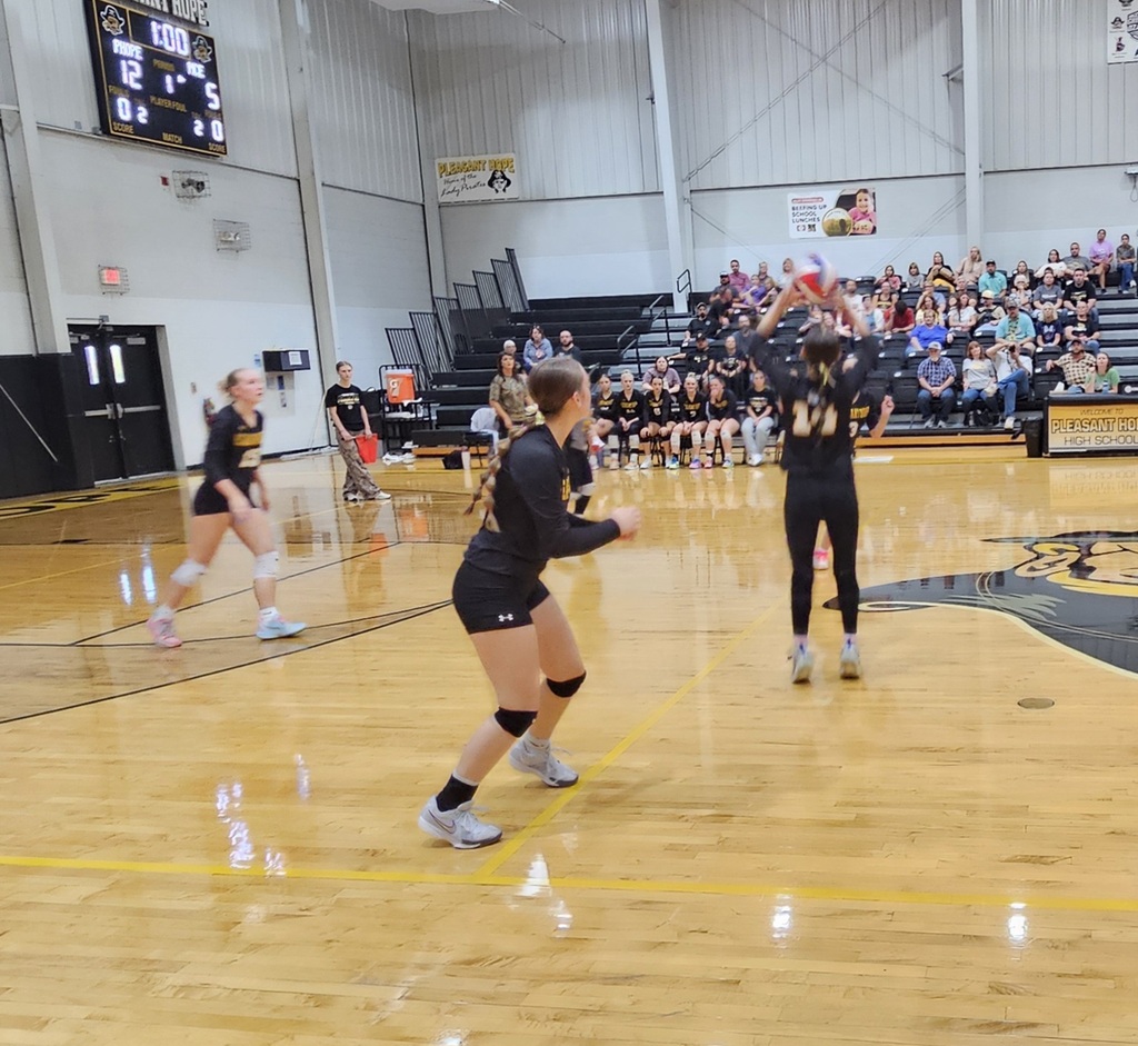 Varsity Volleyball pic 6