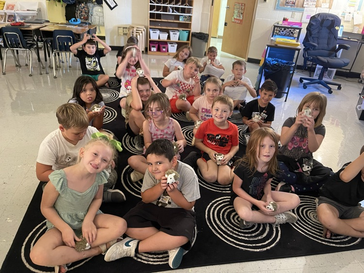 Hegerty lessons with a twist! each student gets a hedgehog to “help” with participation!