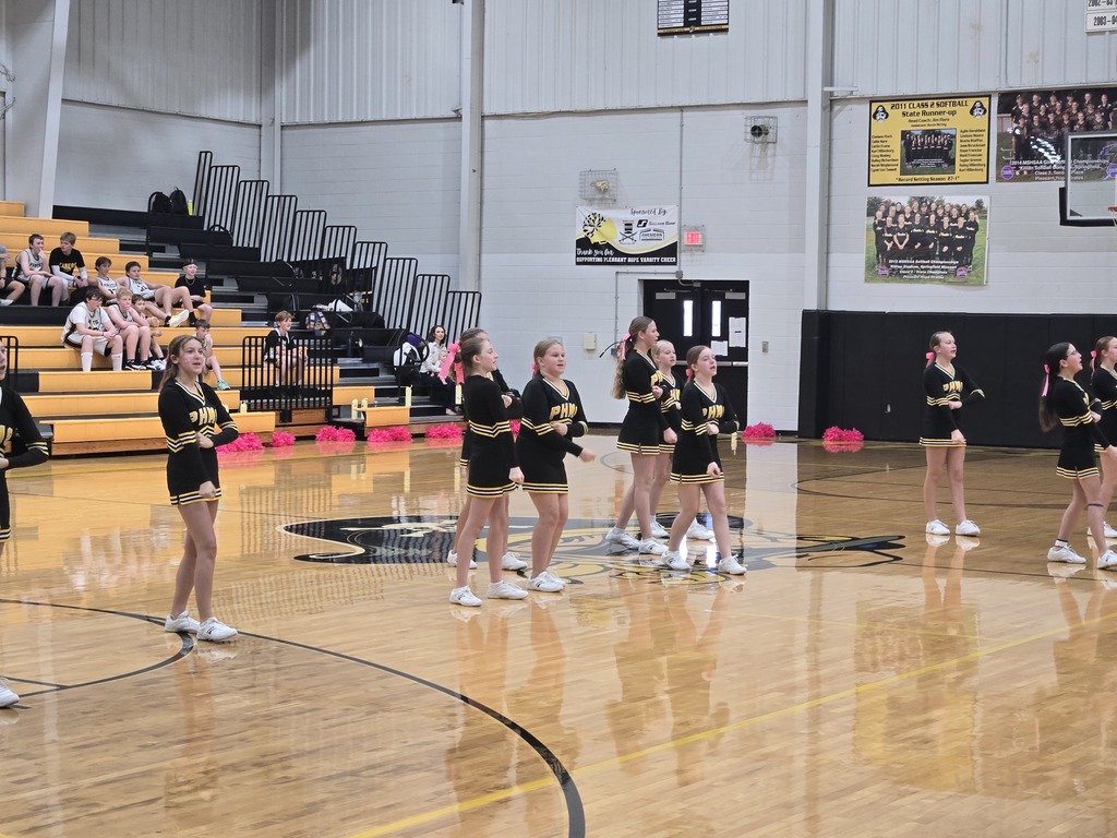 cheer squad performance 