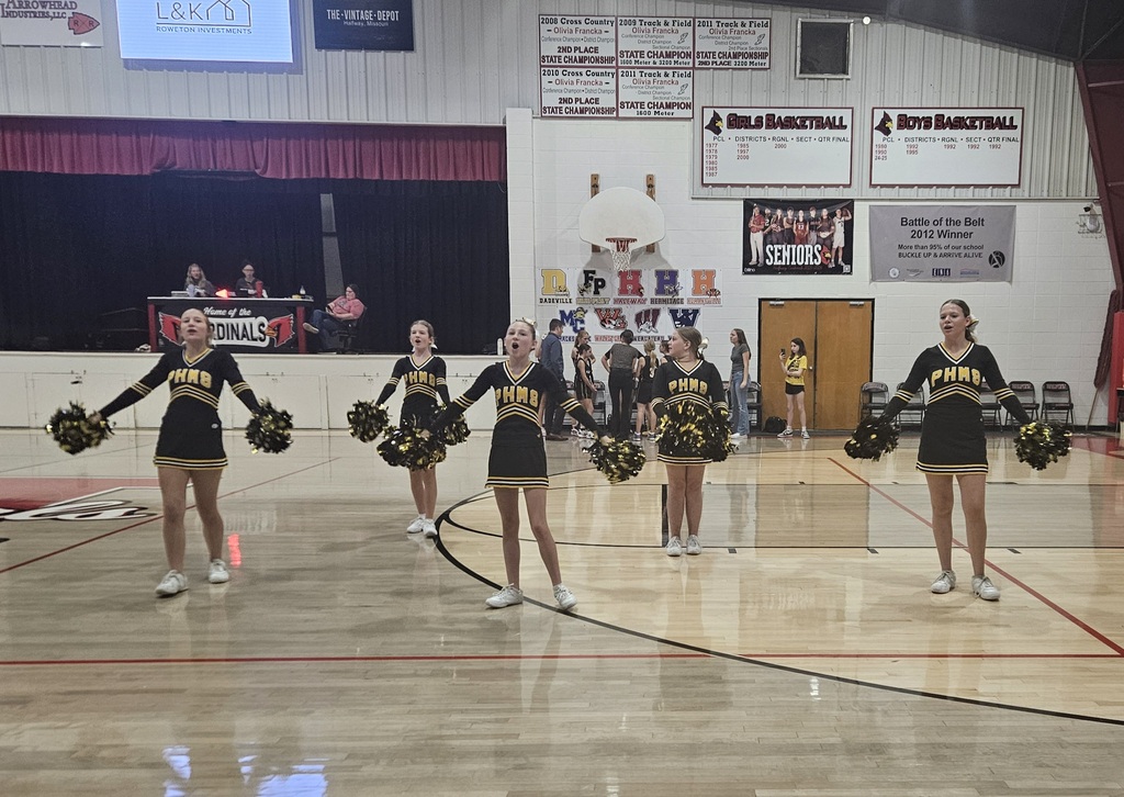 ms cheer pic 1