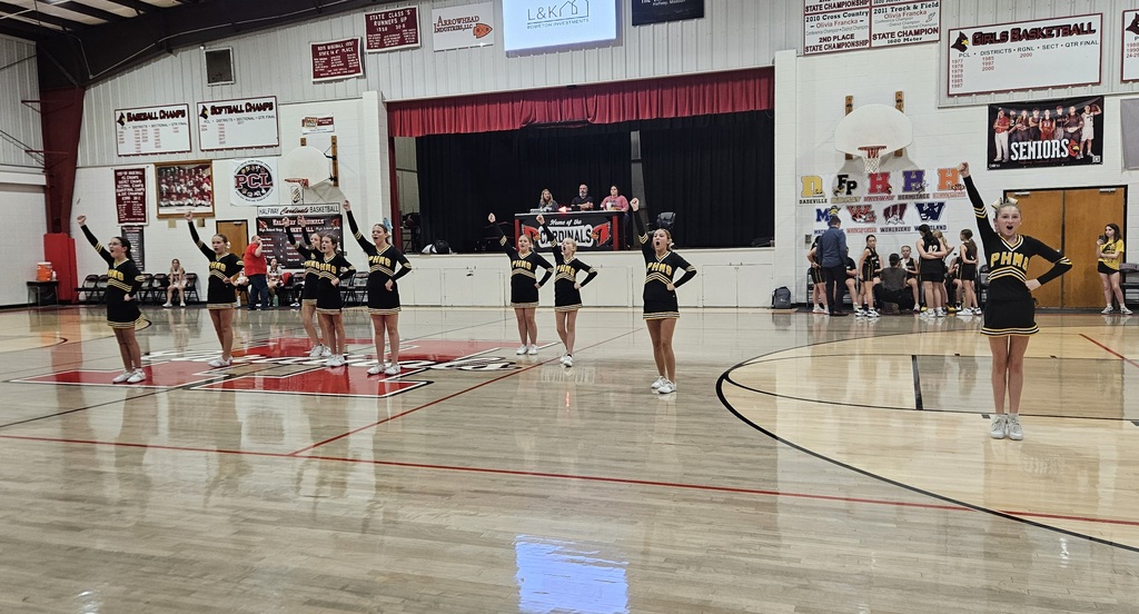 ms cheer pic 3