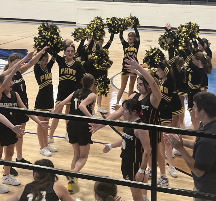 PHMS vs NCA 8