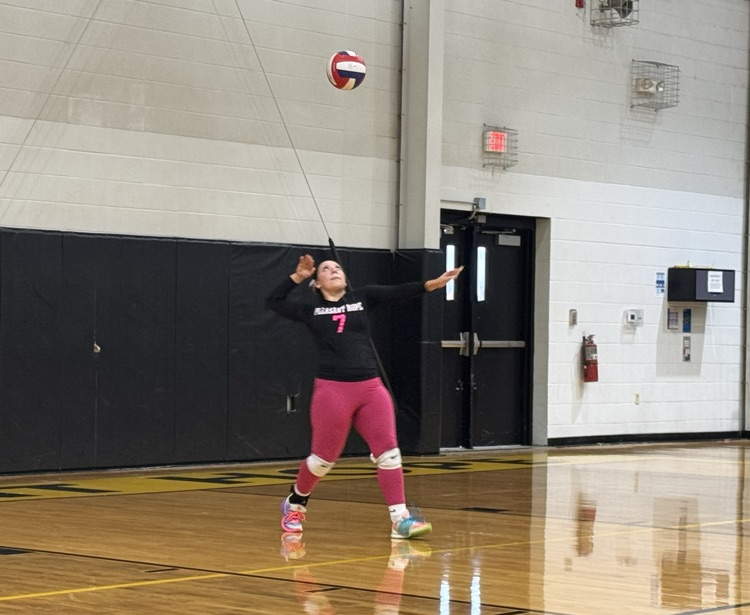 PH VARSITY VOLLEYBALL VS NIANGUA 10-13-26 - 9