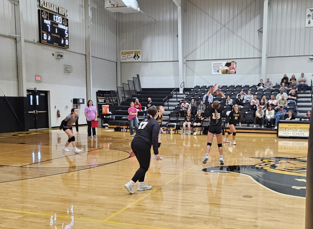 jv Volleyball pic 1