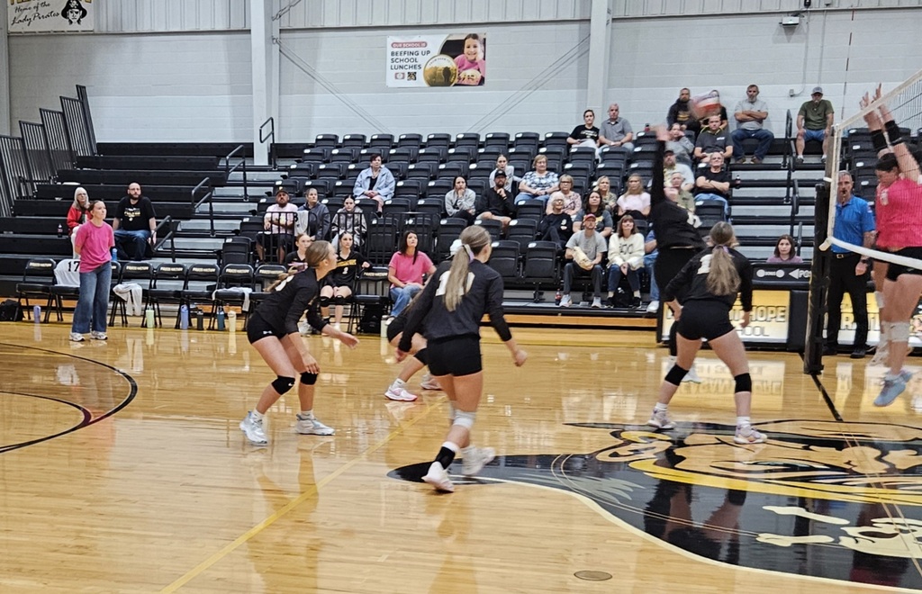 jv Volleyball pic 2