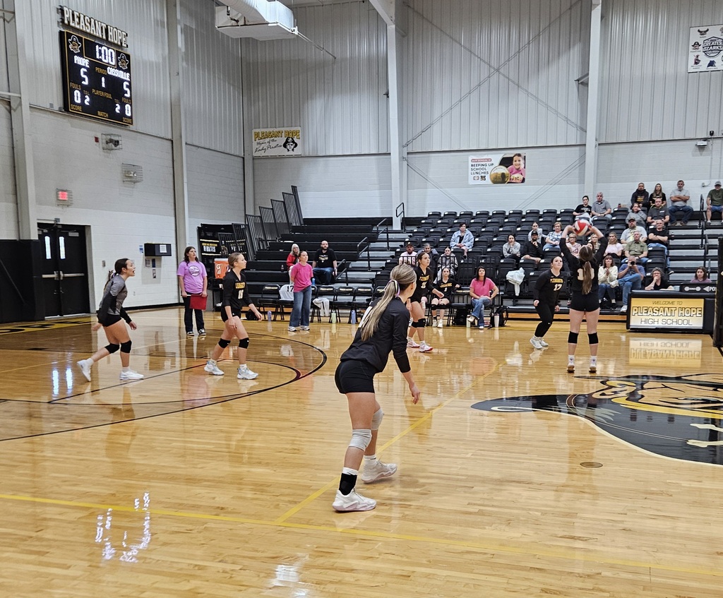 jv Volleyball pic 3