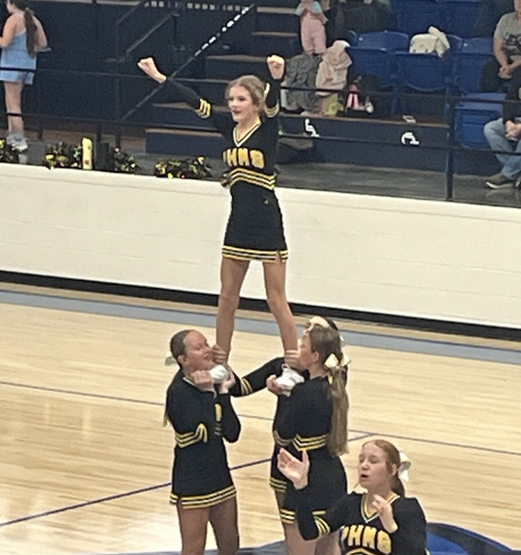 pirates vs wildcats 4