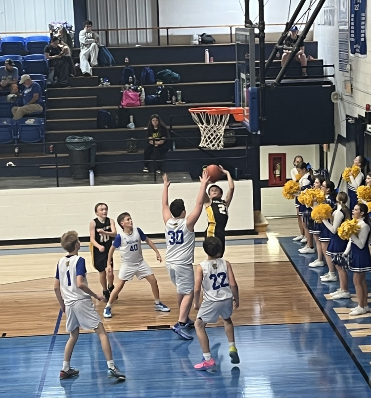 pirates vs wildcats 5