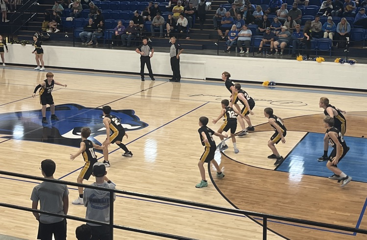 pirates vs wildcats 8