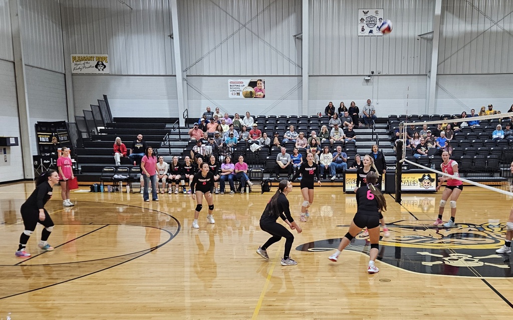 Varsity Volleyball pic 2