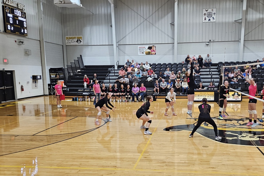 Varsity Volleyball pic 4