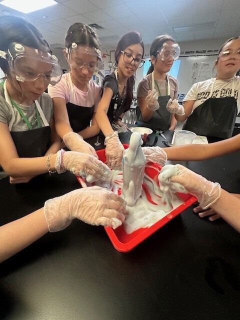 Chemical Reactions/Changes