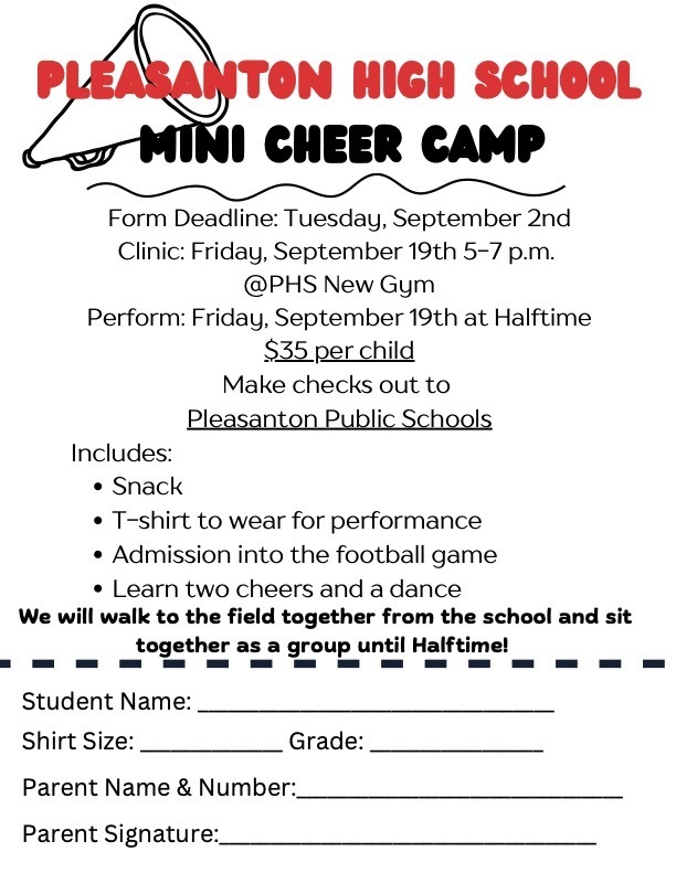 Mini Cheer Camp Flyer