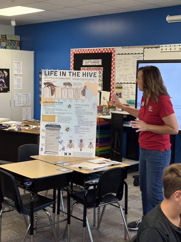 6th Grade Bees with Heidi Darby