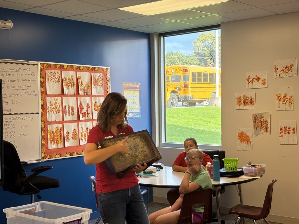 6th Grade Bees with Heidi Darby