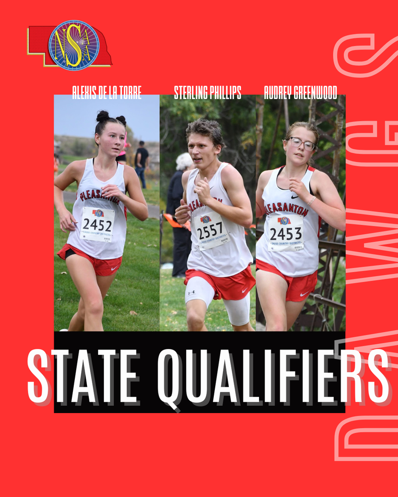 State Cross Country Qualifiers 2025