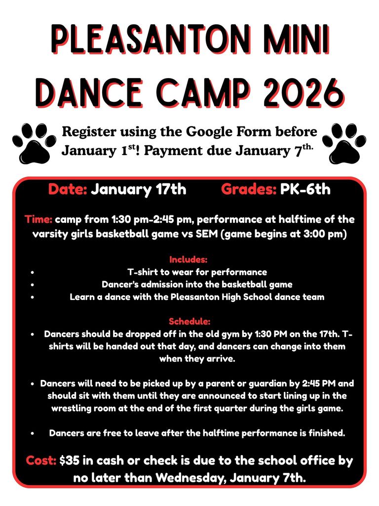 Pleasanton Mini Dance Camp