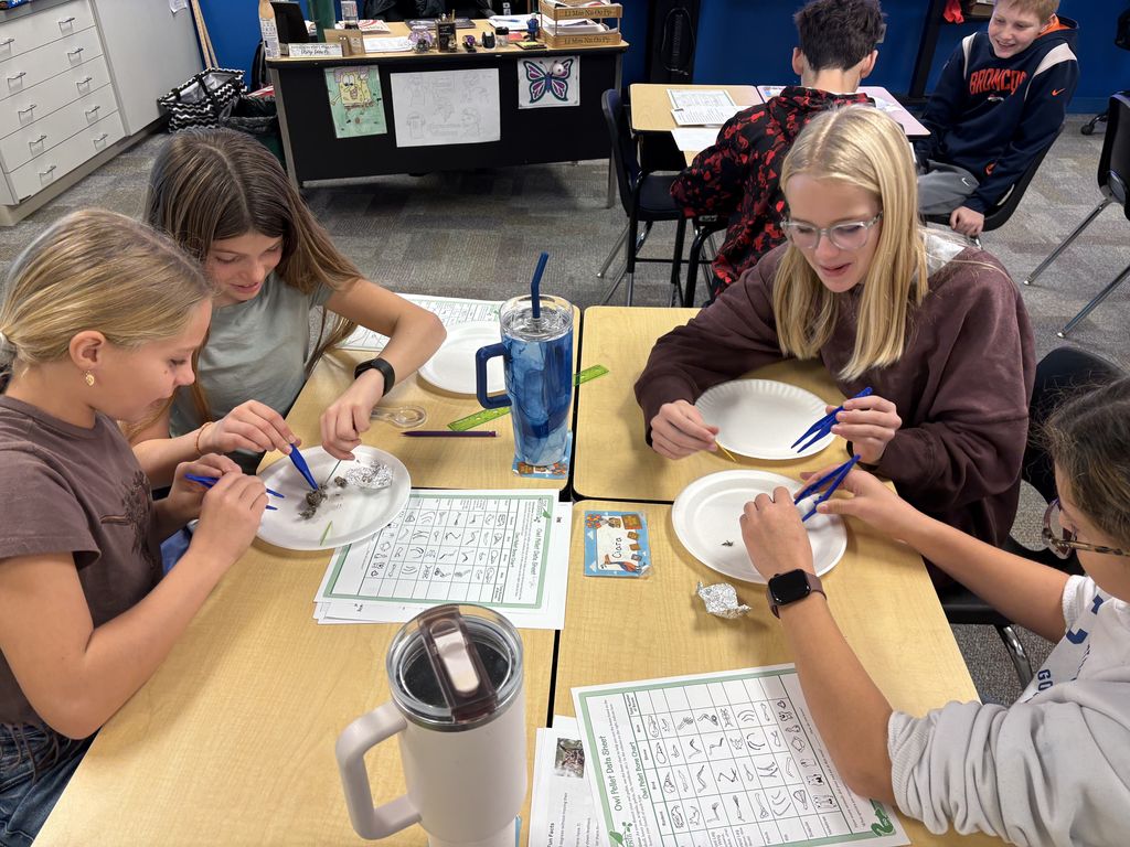 6th Grade Owl Pellet Dissection 