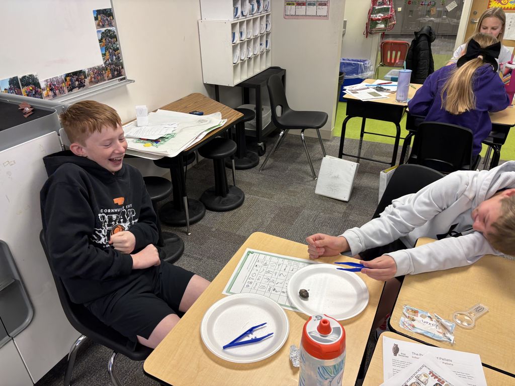 6th Grade Owl Pellet Dissection 