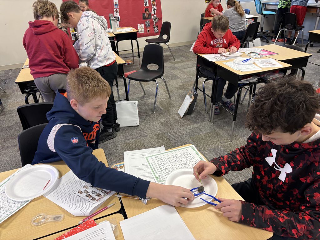 6th Grade Owl Pellet Dissection 