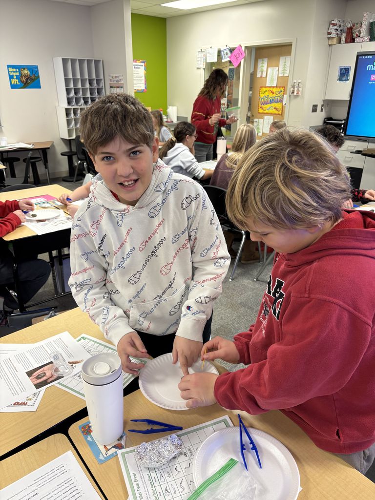6th Grade Owl Pellet Dissection 